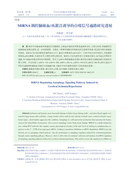 MiRNA调控脑缺血