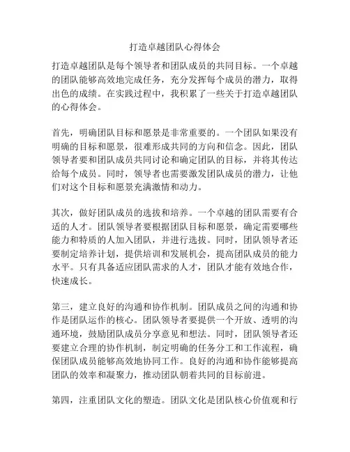 打造卓越团队心得体会
