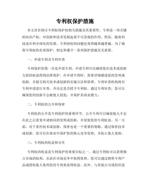 专利权保护措施