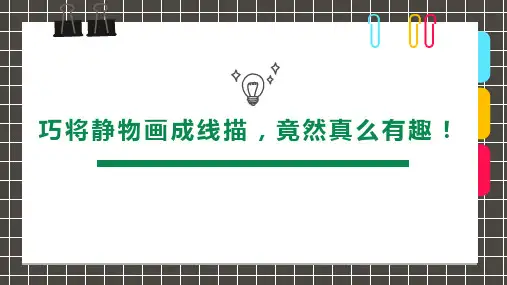 8-12岁《巧将静物画成线描》