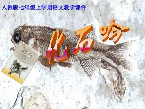 化石吟》上课用课件