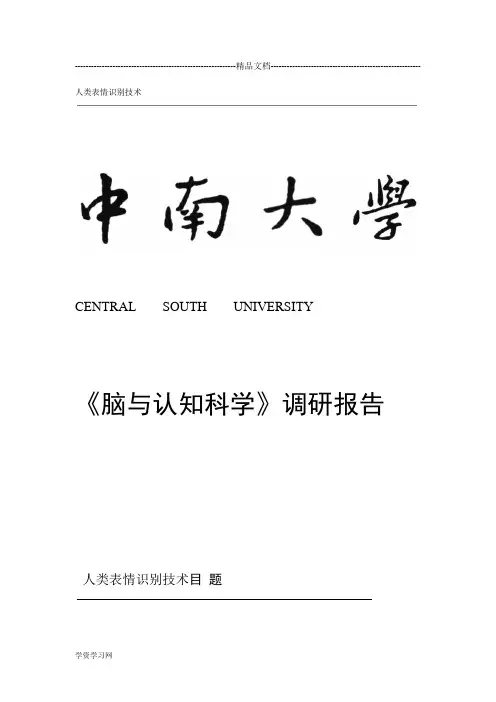 表情识别技术综述分析