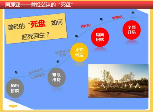 【正式版】阿那亚始于假终于社区运营模式PPT文档