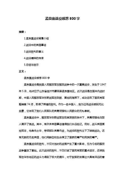 孟良崮战役感想800字
