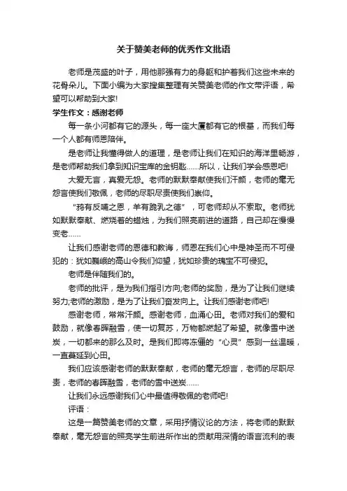 关于赞美老师的优秀作文批语