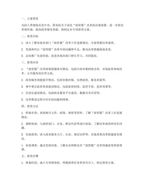 放管服专项督查方案