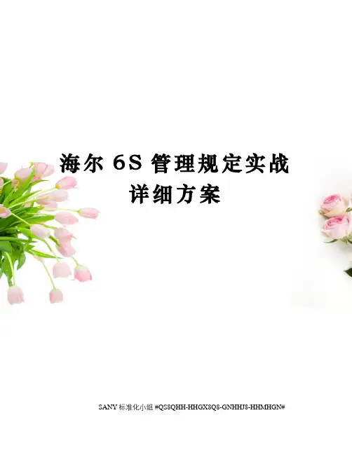 海尔6S管理规定实战详细方案