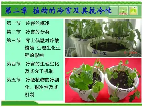 第二章 植物的冷害及其抗冷性
