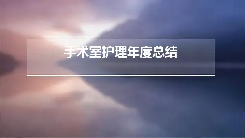 手术室护理年度总结PPT