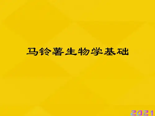 马铃薯生物学基础优秀文档