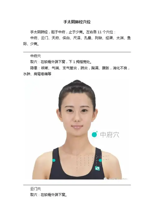 手太阴肺经穴位