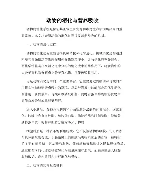 动物的消化与营养吸收