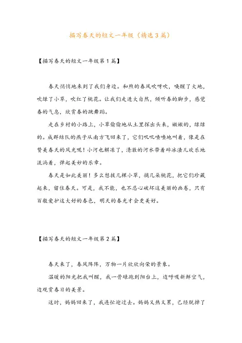 描写春天的短文一年级(精选3篇)