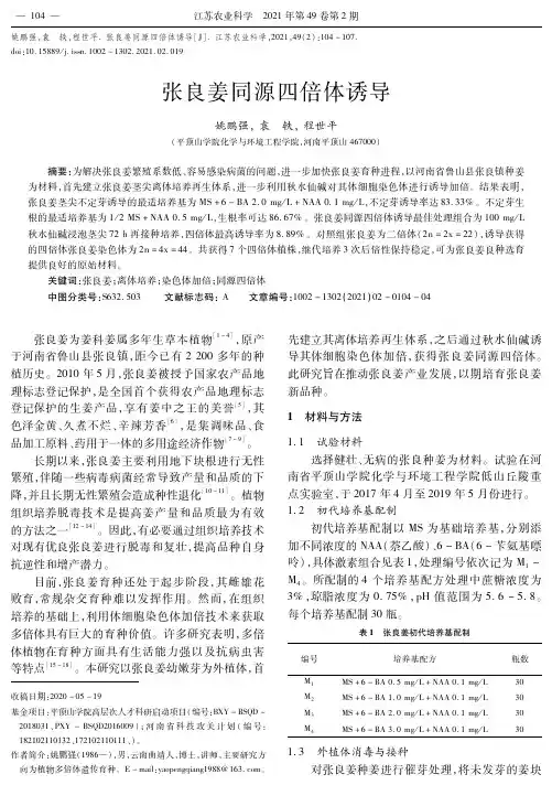 张良姜同源四倍体诱导