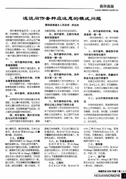 浅谈间作套种应注意的模式问题