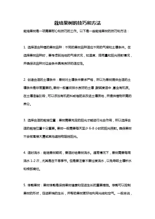 栽培果树的技巧和方法