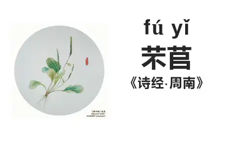 《芣苢》课件(共28张PPT)  统编版高中语文必修上册