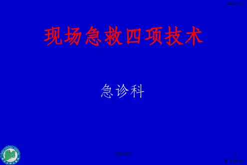 现场四项急救技术