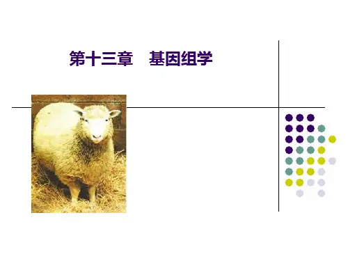 第十三章 基因组学