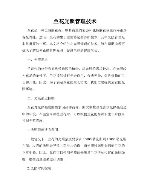 兰花光照管理技术