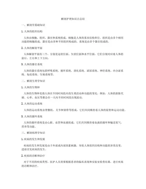 解剖护理知识点总结