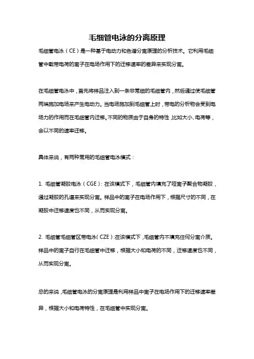 毛细管电泳的分离原理