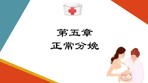 正常分娩—第二产程的临床表现及助产经过(助产技术课件)