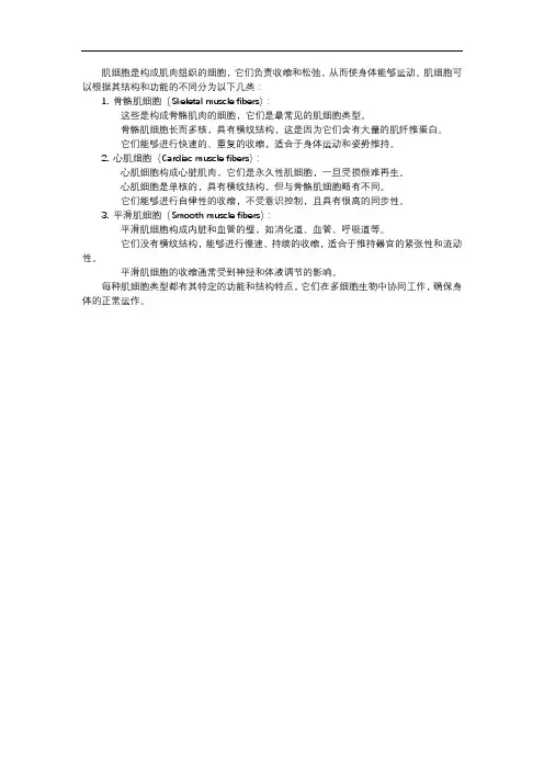肌细胞的分类