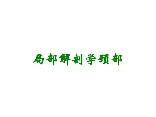 局部解剖学颈部