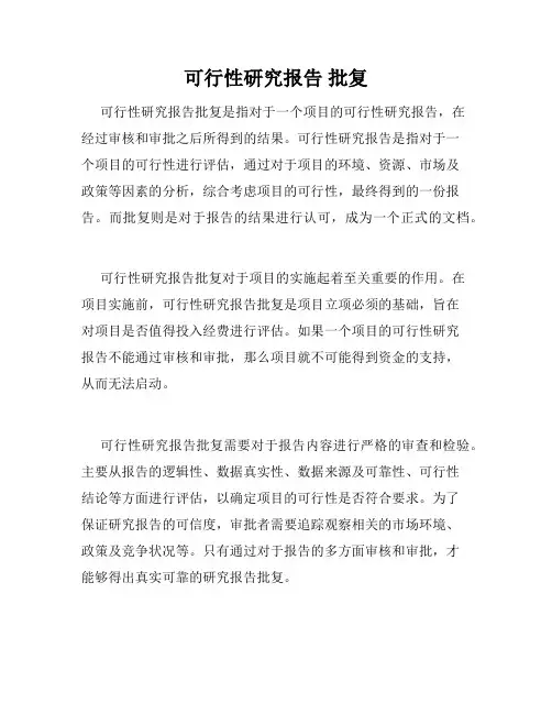 可行性研究报告 批复