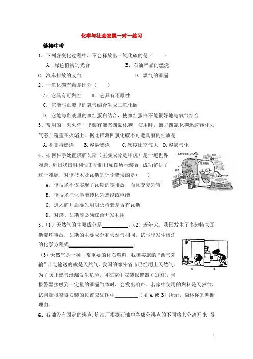 化学与社会发展复习一对一练习