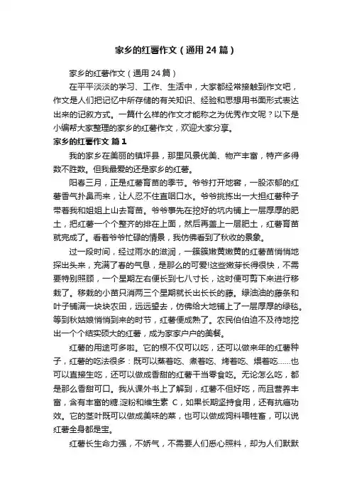 家乡的红薯作文（通用24篇）