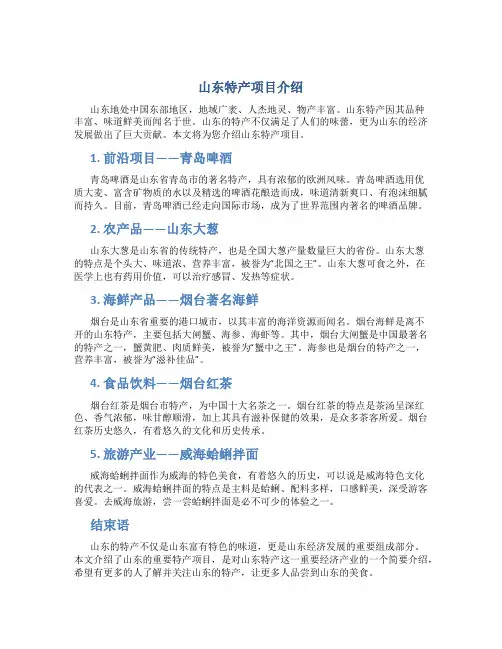 山东特产项目介绍