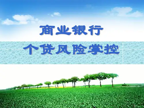 商业银行风险分析及应对PPT课件