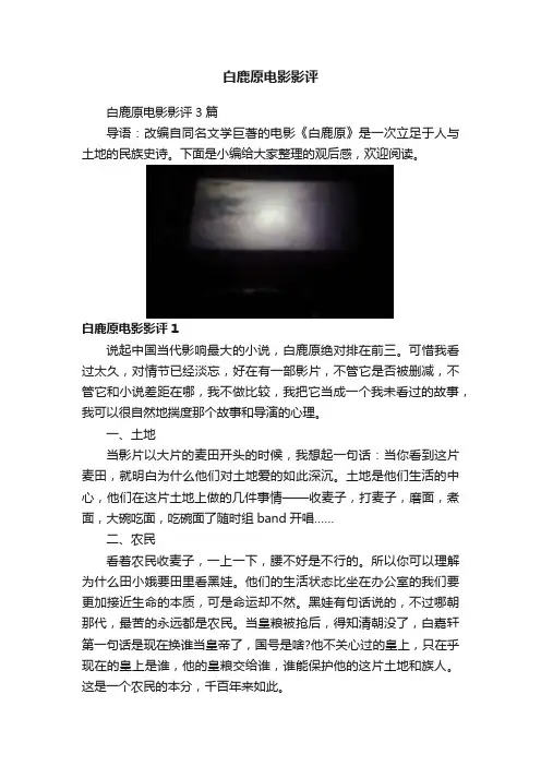 白鹿原电影影评