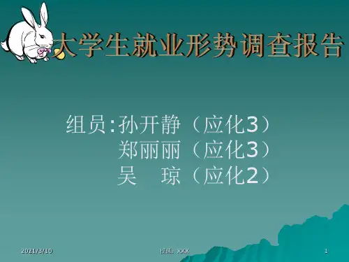 大学生就业形势调查报告PPT参考课件