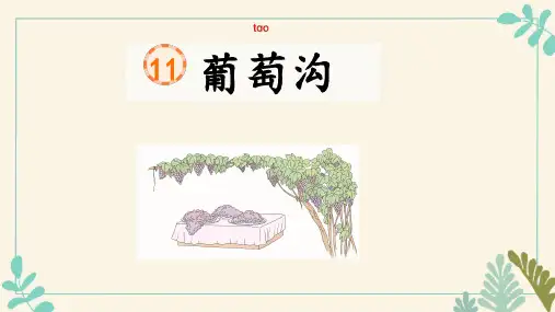 葡萄沟ppt课件