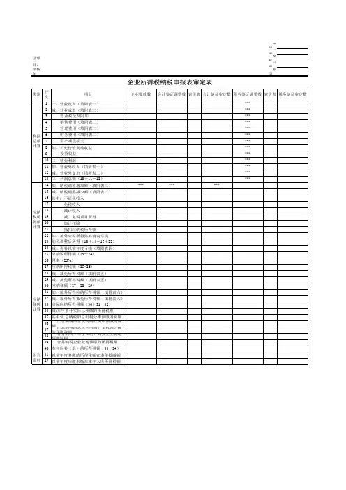企业所得税纳税调整审核工作底稿