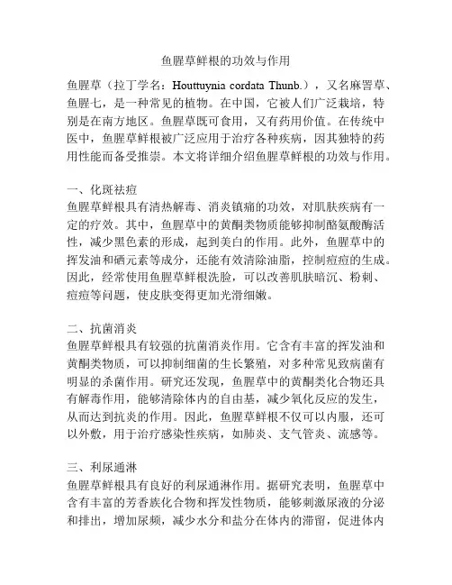 鱼腥草鲜根的功效与作用
