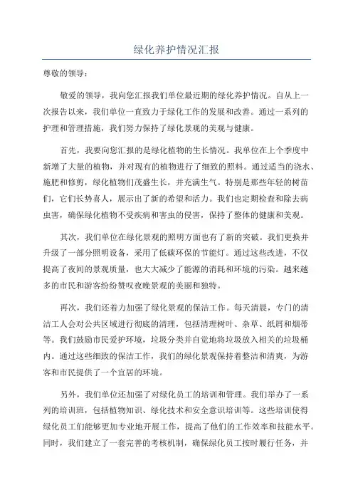 绿化养护情况汇报
