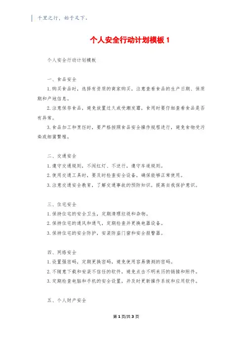 个人安全行动计划模板1