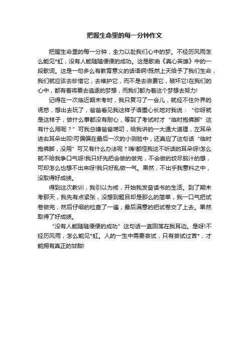 把握生命里的每一分钟作文