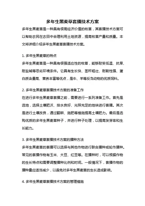 多年生黑麦草套播技术方案