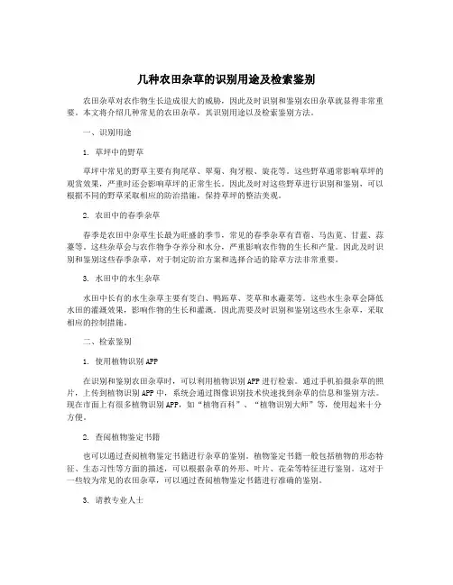 几种农田杂草的识别用途及检索鉴别