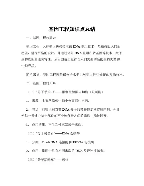 基因工程知识点总结