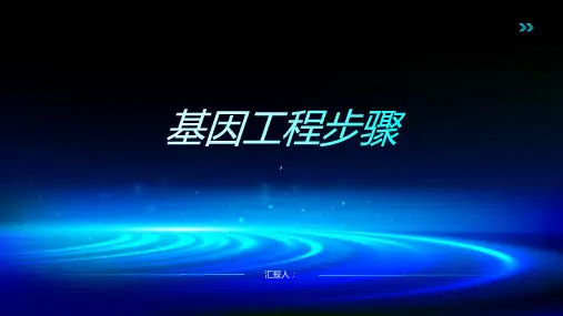 基因工程步骤
