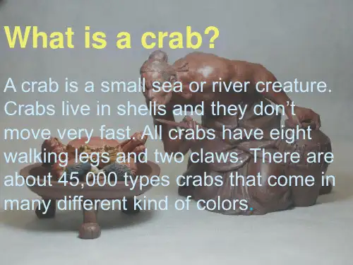 大闸蟹1(crab)english speech 英语版