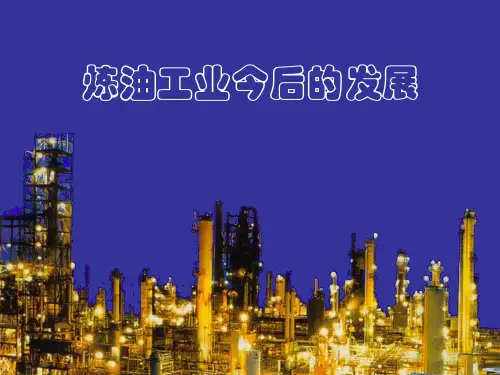 06-炼油今后发展
