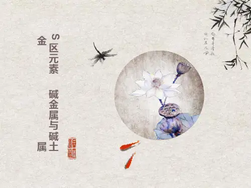 化学竞赛-碱金属与碱土金属