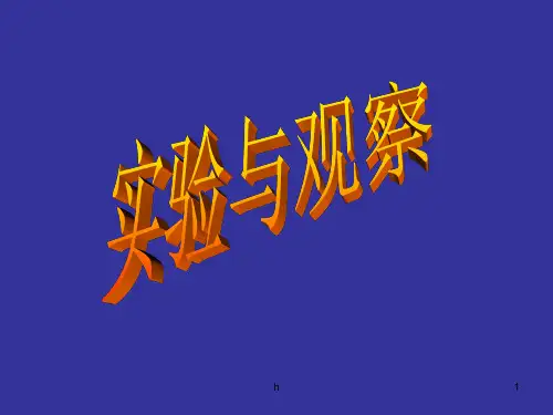 《实验和观察》PPT课件